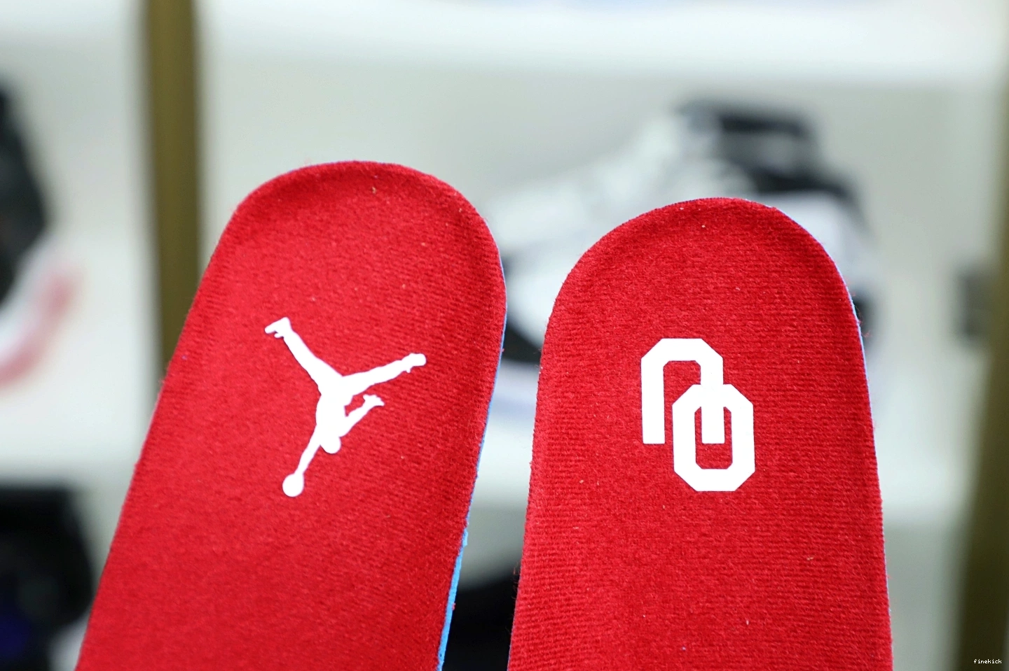 Air Jordan 4 Jordan 1102